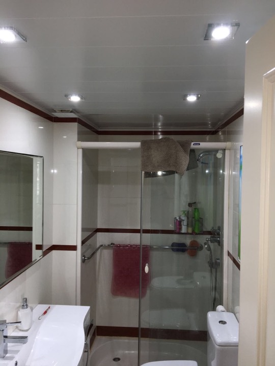 Baño con techo de aluminio